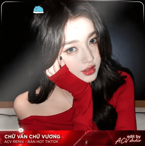 Chữ Vấn Chữ Vương Remix (Ver Hot TikTok) - Đôi Ta Từng Là Uyên Ương Bao Nhiêu Người Từng Mơ Ước ♫