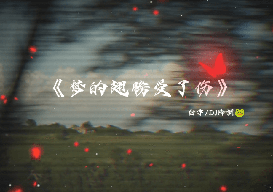 梦的翅膀受了伤 • Đôi Cánh Giấc Mơ Bị Tổn Thương  一滴一滴刺痛我的心