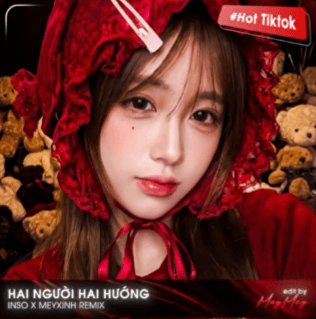 Hai Người Hai Hướng (Ver Hot TikTok)